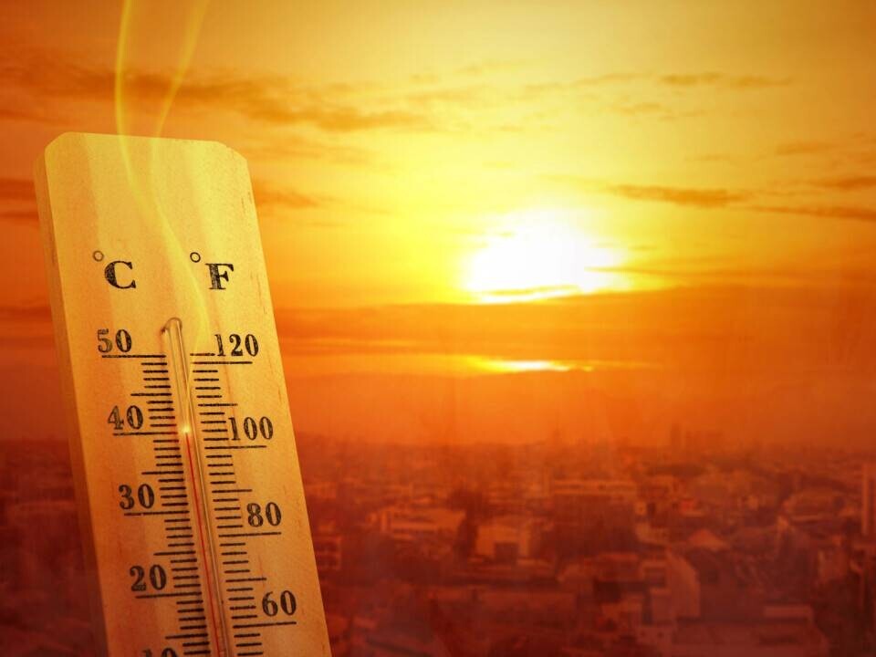 Аномально жаркая погода +30°С и выше местами сохранится в Алтайском крае с 15 по 22 июля 2026 года..